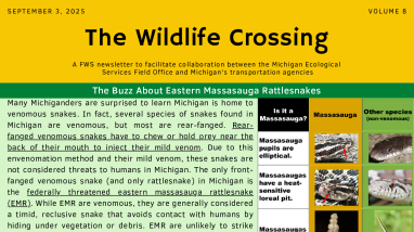 The Wildlife Crossing Volume 8
