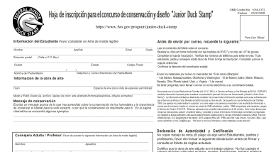 Junior Duck Stamp Contest Entry Spanish