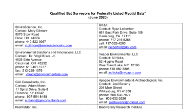 Indiana bat 2020 surveyors West Virginia