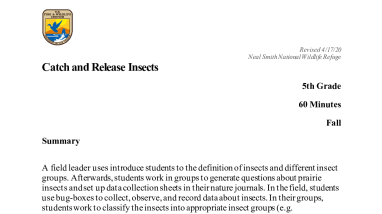 5th-grade-Catch-and-Release-Insects-508.pdf