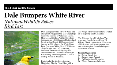 Bird List DB White River NWR