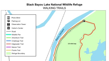 Black Bayou Lake Trail Map