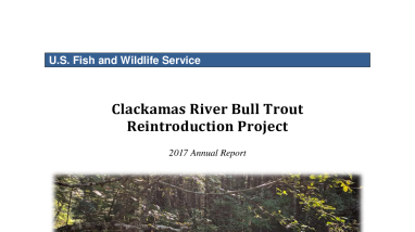 Clackamas River Bull Trout Reintroduction Project 2017 Annual Report