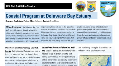 DBCP Summary Factsheet