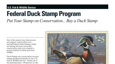 Fact Sheet: Federal Duck Stamp Program