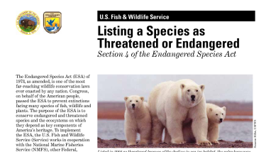Listing Species as Threatened or Endangered