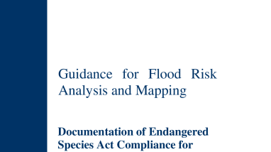 TFO FEMA Guidance for Flood Risk Analysis and Mapping