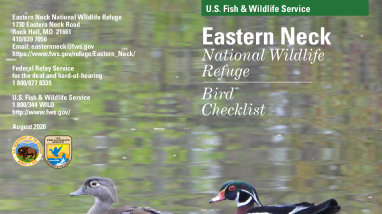 Eastern Neck NWR Bird Checklist