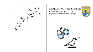 Exploring the Senses - RNWR.pdf