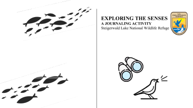 Exploring the Senses - SLNWR.pdf