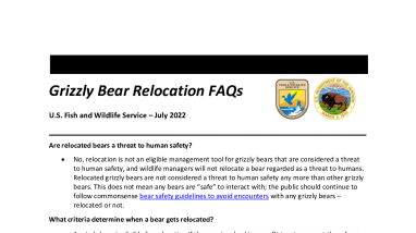 FAQs - Montana Grizzly Bear Relcocations