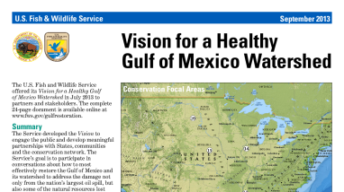 Vision for a Healthy Gulf of Mexico Watershed