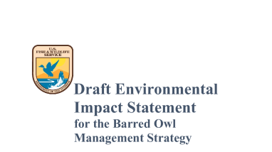 Draft Environmental Impact Statement for the Barred Owl Management Strategy