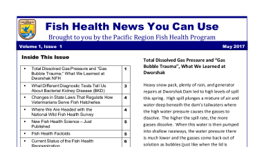 Fish Health News You Can Use (May 2017 Edition)