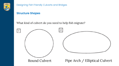Fish Need to Move! Structure Shapes Lesson Worksheet