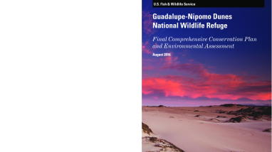 Guadalupe-Nipomo Dunes National Wildlife Refuge Comprehensive Conservation Plan and Environmental Impact Statement