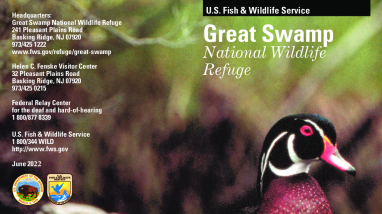 Great Swamp National Wildlife Refuge General Brochure