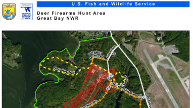 Great Bay Firearms Deer Hunt.pdf