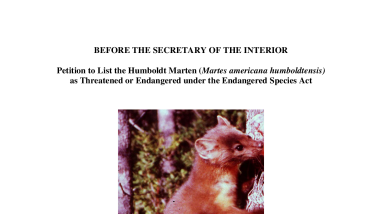Humboldt Marten Petition to List