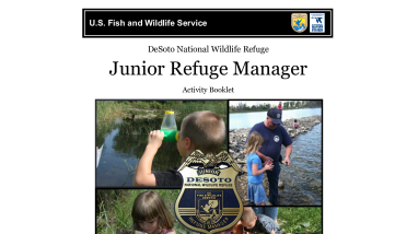 Jr Ranger 2020 DESO.pdf 