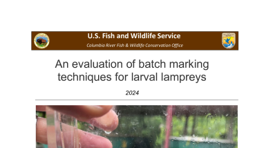 An evaluation of batch marking techniques for larval lampreys
