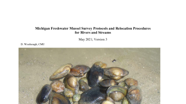 Michigan Freshwater Mussel Survey Protocols and Relocation Procedures for Rivers and Streams