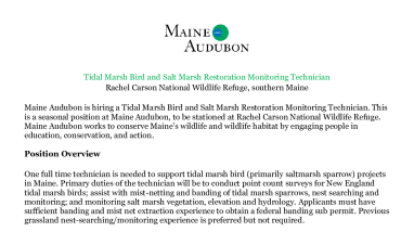 Maine Audubon Seasonal Technicians 2022
