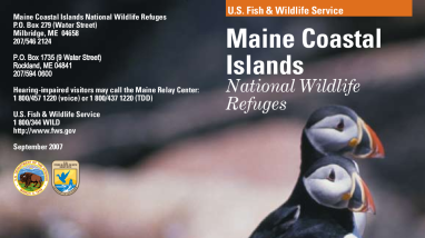 Maine Coastal Islands National Wildlife Refuge - Brochure
