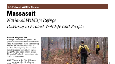 Massasoit Fact Sheet