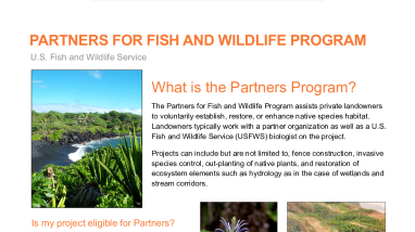 PIFWO Partners Handout.pdf