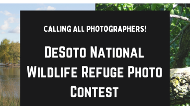 Photo Contest Flyer DeSoto.pdf