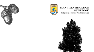 Plant Identification - RNWR.pdf