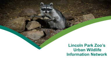 Promotion of Wildlife Conservation Winner Presentation by Jason Holmberg and Seth Magle UWIN