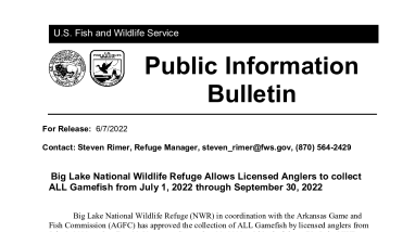Public Information Bulletin - Big Lake National Wildlife Refuge Allows Licensed Anglers to collect ALL Gamefish