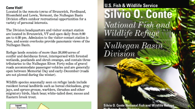 Nulhegan Basin Division Information