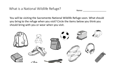 Sacramento National Wildlife Refuge Complex - What is a refuge worksheet what to take grade 2