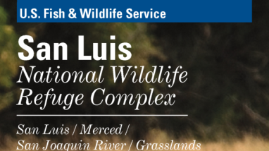San Luis NWR Complex General Brochure