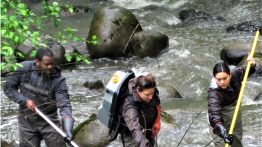 Science of the Service 2021