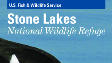 Stone Lakes National Wildlife Refuge General Brochure