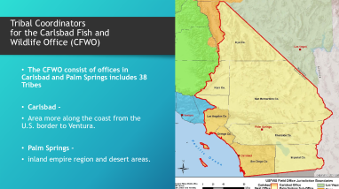 Tribal Coordinator Resources