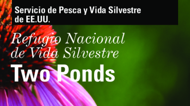 Two Ponds NWR Spanish General Brochure.pdf