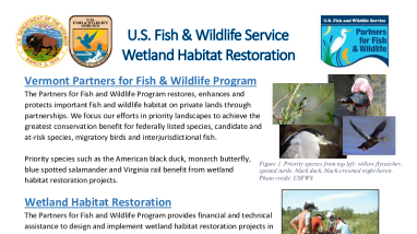 USFWS_Wetland Restoration Program Summary_2021.pdf