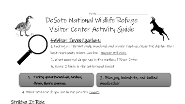 DESO Upper Elementary VC Activity Sheet ANSWER KEY 508.pdf