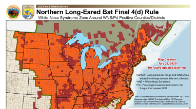 White-Nose Syndrome Map