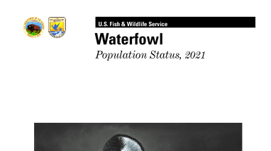 Waterfowl Population Status, 2021
