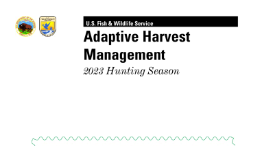 Adaptive Harvest Management 2023 Hunting Season
