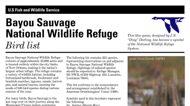 bayou-sauvage-bird-list.pdf