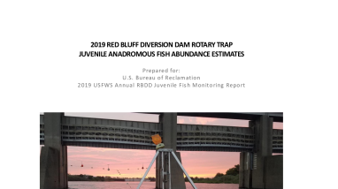 2019 RED BLUFF DIVERSION DAM ROTARY TRAP JUVENILE ANADROMOUS FISH ABUNDANCE ESTIMATES