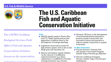 The U.S. Caribbean Fish and Aquatic Conservation Initiative