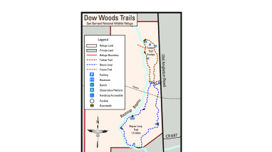 Dow Woods Unit - Trail Map